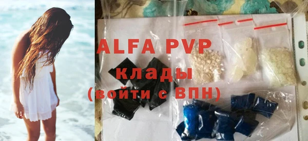 дживик Краснослободск
