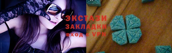дживик Краснослободск