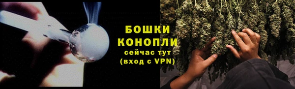 прущие крисы Анива