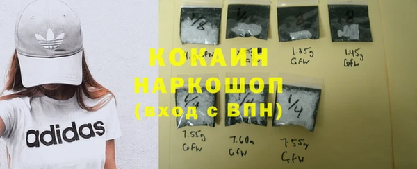 дживик Краснослободск