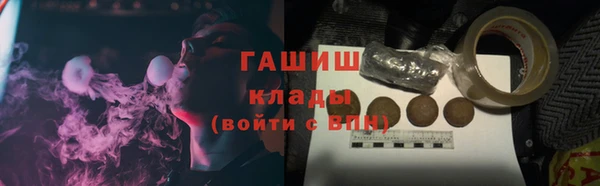 дживик Краснослободск