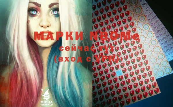 дживик Краснослободск