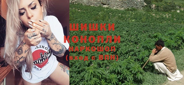 дживик Краснослободск