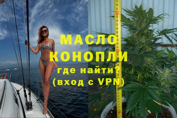 дживик Краснослободск